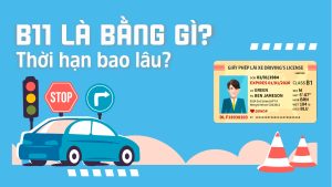 B11 là bằng gì Thời hạn bao lâu-02