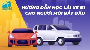 Hướng dẫn học lái xe B1 cho người mới bắt đầu