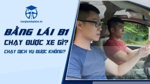 Bằng lái B1 chạy được xe gì Có chạy dịch vụ được không