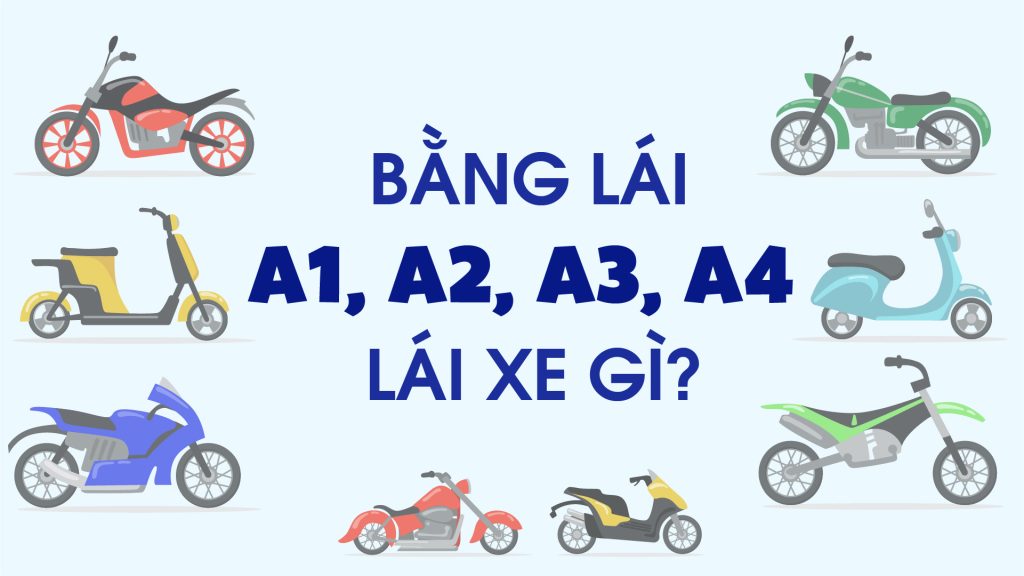 Cac loai bang lai A1 A2 A3 A4 lai xe gi