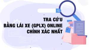 Tra cuu bang lai xe GPLX online va chinh xac nhat22