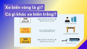 Xe biển vàng là gì Có gì khác xe biển trắng