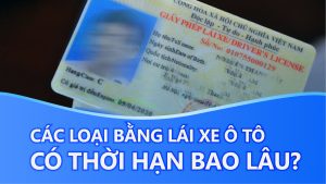 bang lai xe o to co thoi han bao lau 0